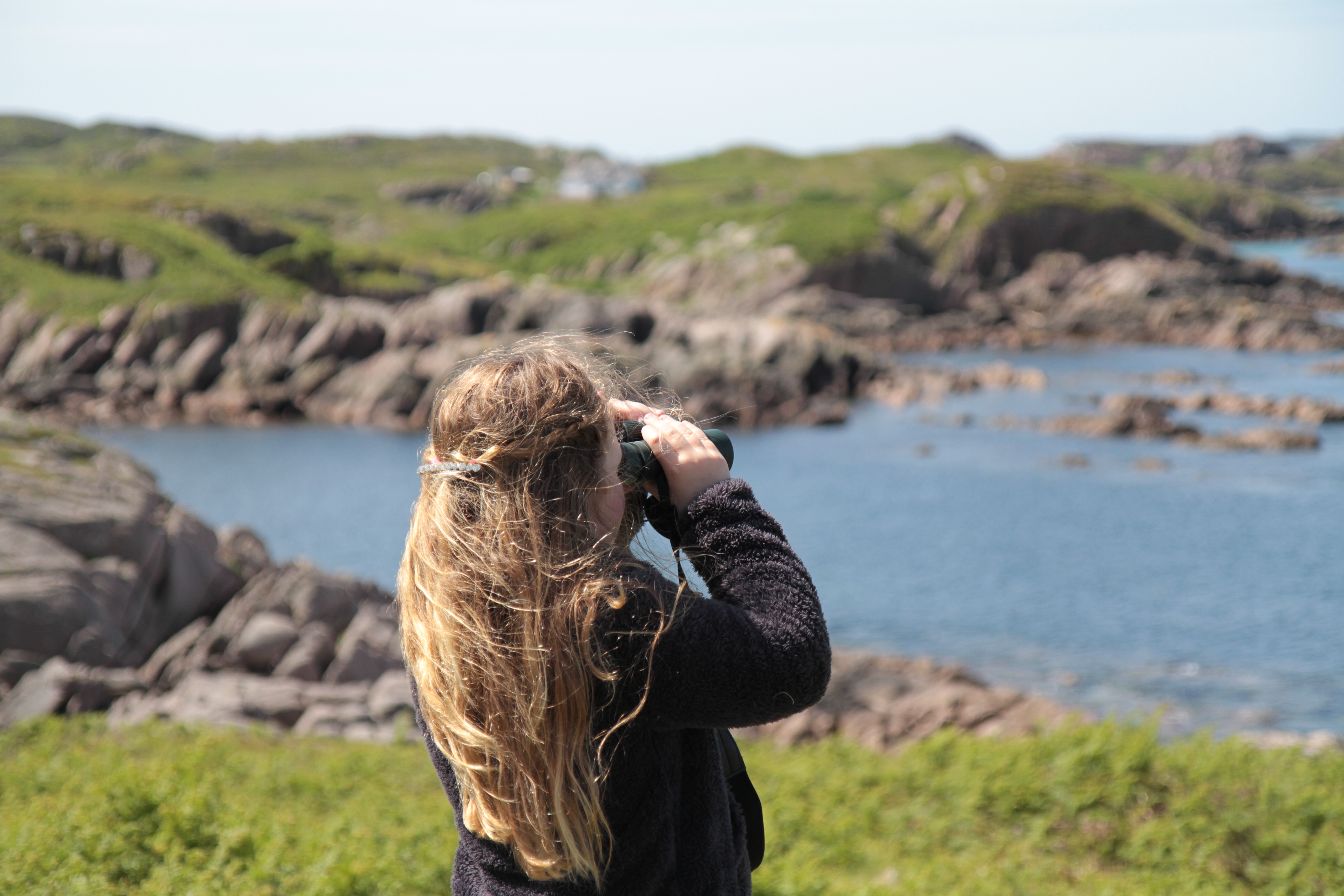 Great weather for Kintra headland watch