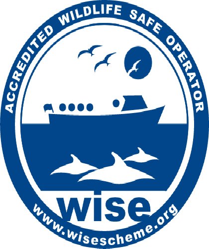 All operations on board Silurian follow best practice for responsible whale-watching and are accredited by WiSe (our skipper and first mate are WiSe trained)