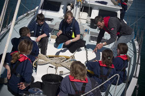 Teaching children about marine creatures during a school visit on Silurian