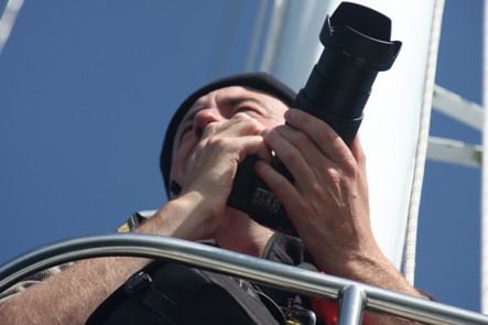 Photographs of dorsal fins allows HWDT to undertake photo identification research