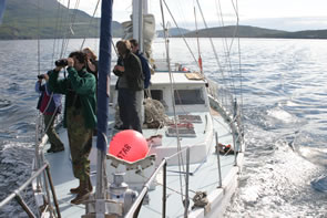 Volunteers monitoring cetaceans onboard Silurian